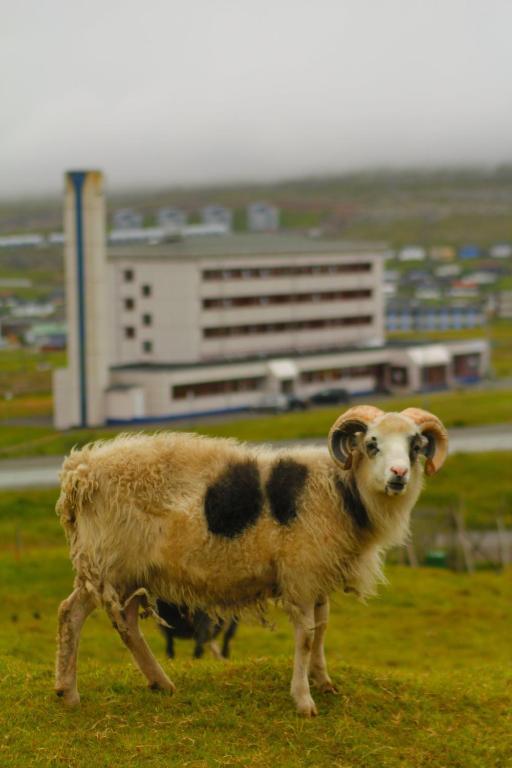 62N Guesthouse Marknagil Tórshavn Exteriér fotografie